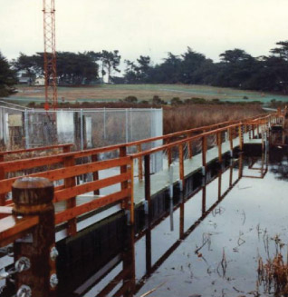 Float Boardwalks