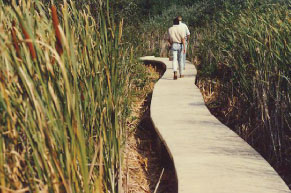 Trailways and Boardwalks